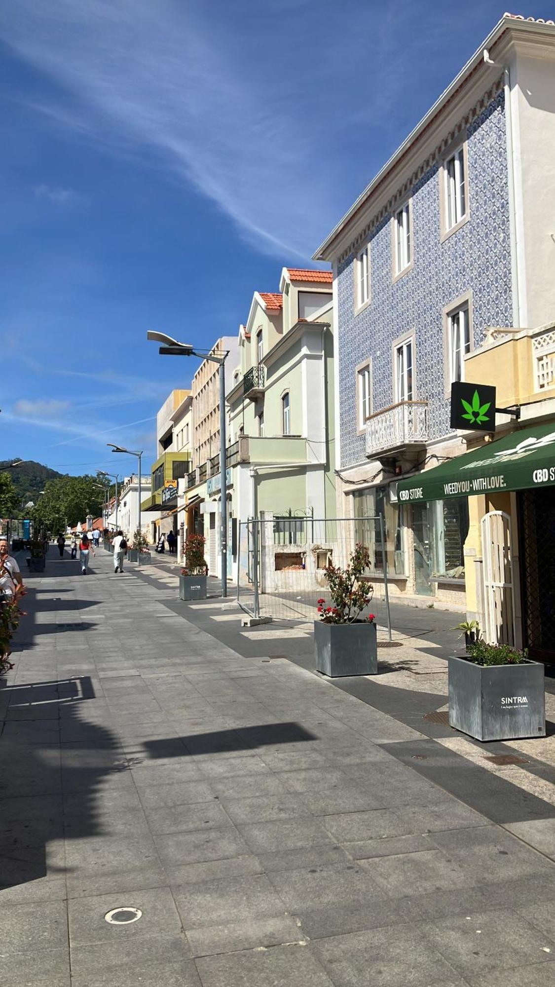 Sintra Flower Vintage Chalet 외부 사진